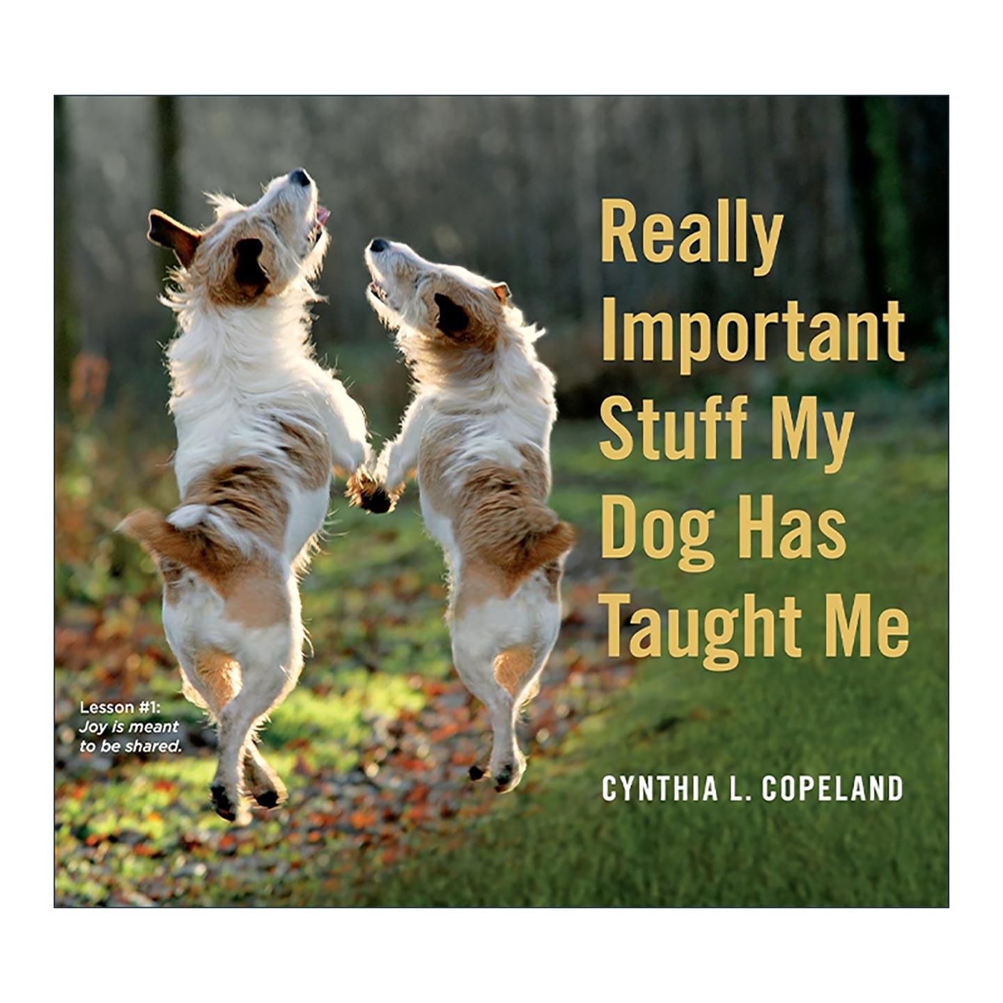 英文原版 Really Important Stuff My Dog Has Taught Me 狗教会我的那些重要事 英文版 进口英语原版书籍