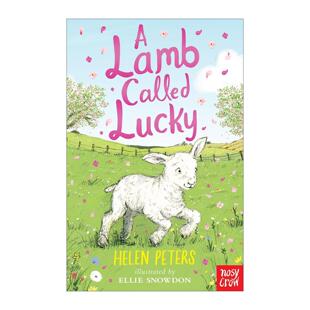 羔羊 书籍 Lamb 进口英语原版 英文版 儿童插画小说 一只叫幸运 Lucky Called 英文原版