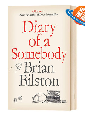 正版现货 某人日记 Diary of a Somebody 英文原版 Brian Bilston 进口原版英文书籍外文小说