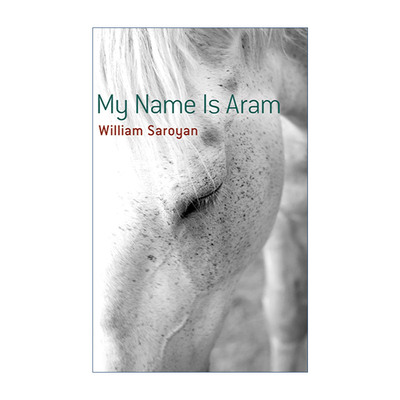 英文原版 My Name Is Aram 我叫阿拉姆 传记小说 William Saroyan 英文版 进口英语原版书籍