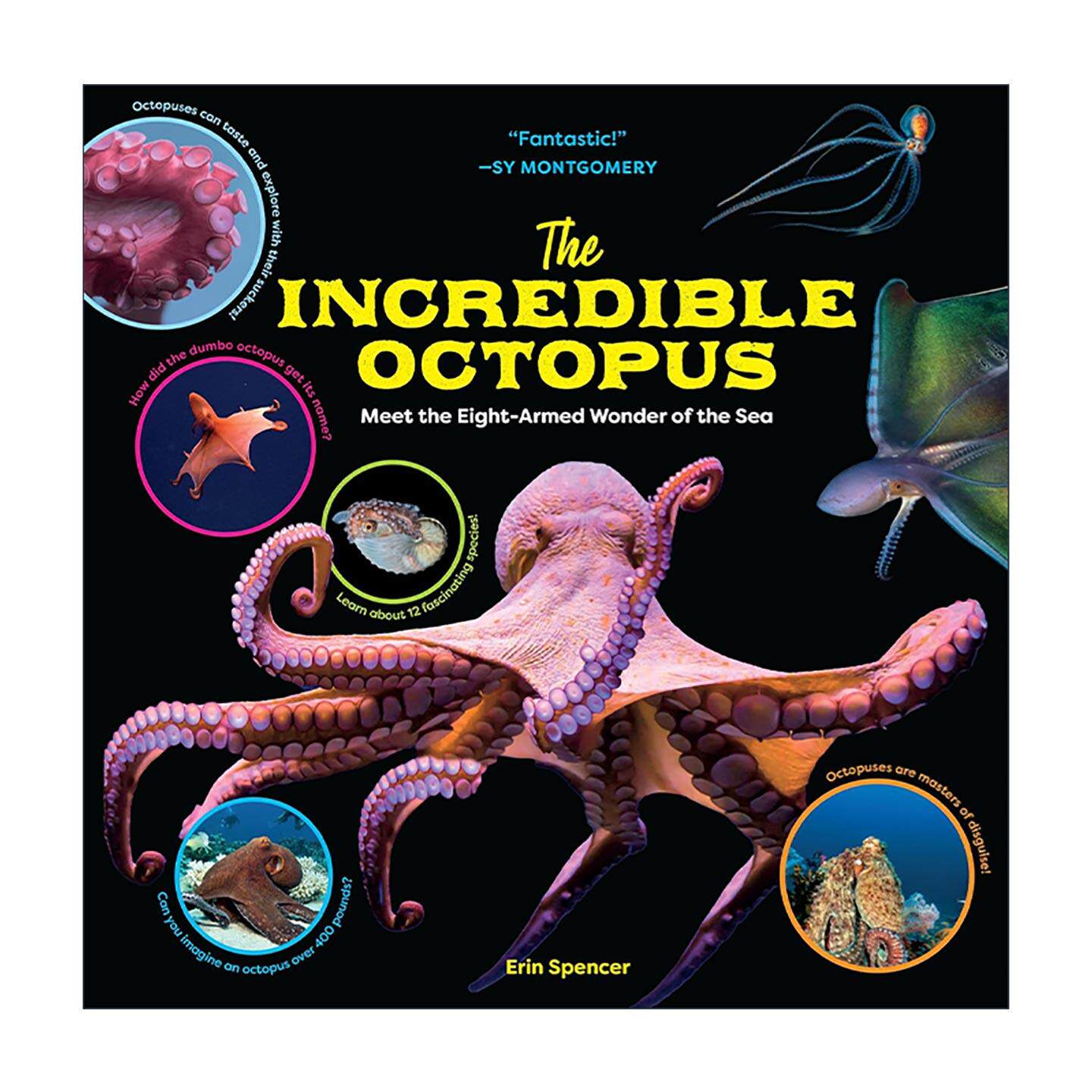 英文原版 The Incredible Octopus 不可思议的章鱼 认识海洋八臂奇迹 精装科普 英文版 进口英语原版书籍