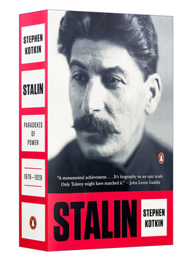 英文原版 Stalin Paradoxes of Power 1878-1928 斯大林 权力的悖论 1878-1928 英文版 进口英语原版书籍