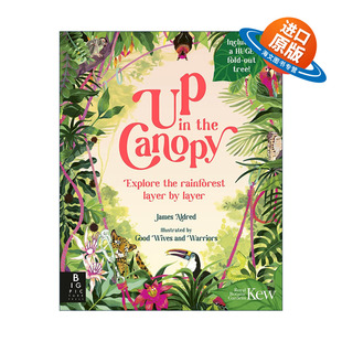英文原版 Up in the Canopy 树冠上的风景 逐层探索雨林 邱园英国皇家植物园联合出版 儿童精装科普百科绘本 进口英语原版书籍
