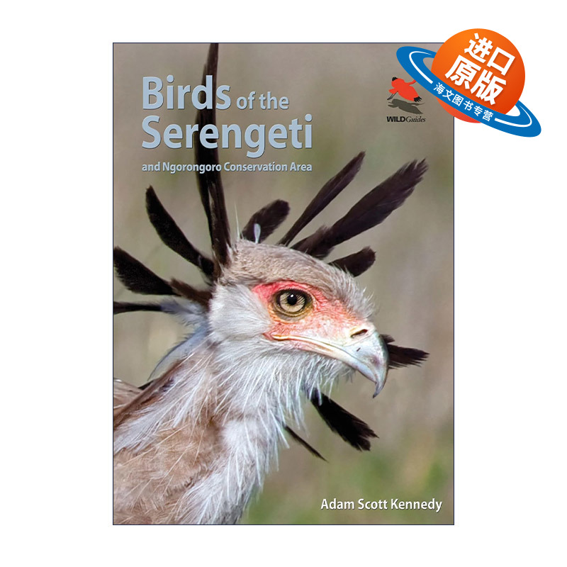 英文原版 Birds of the Serengeti 塞伦盖蒂鸟类指南 恩戈罗恩戈罗自然保护区 普林斯顿野生动物探险家指南 Adam Scott Kennedy