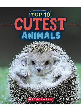 英文原版 Cutest Animals Wild World Top 10 野生世界之十大可爱动物 科普图画书 英文版 进口英语原版书籍
