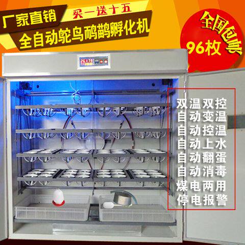48枚全自动鸵鸟孵化机器1
