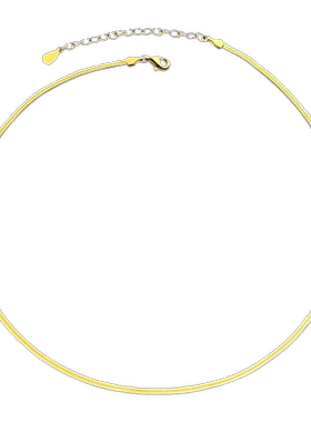金色蛇骨链项链扁刀片链锁骨链女素链可调节不掉色轻奢小众配饰