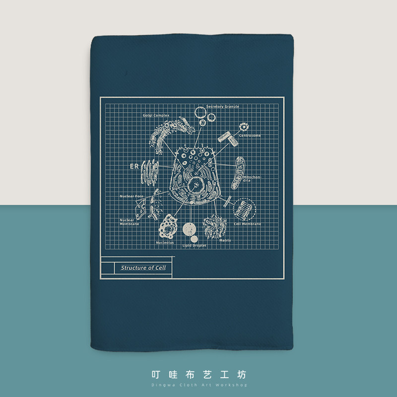细胞结构图布艺医学生百货手账本图片