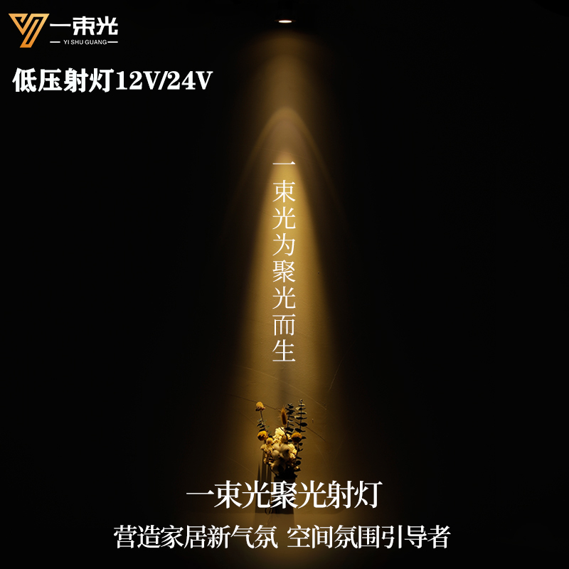 一束光低压射灯/设计师推荐正品