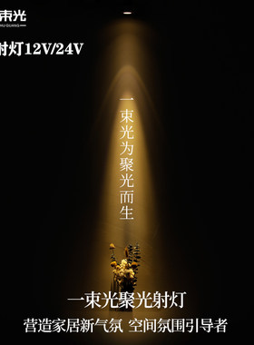 一束光低压射灯/设计师推荐正品
