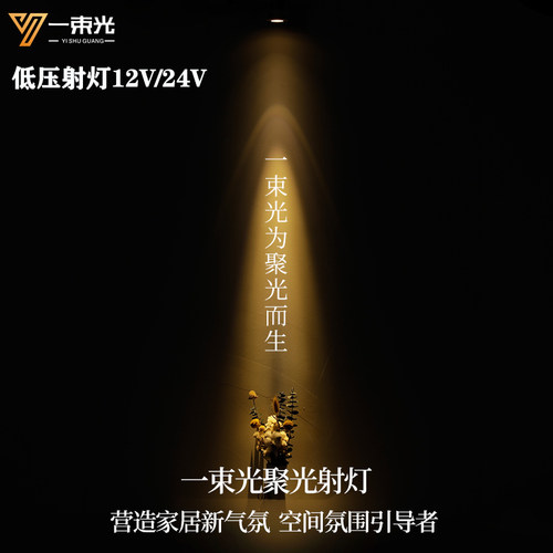 一束光低压射灯/设计师推荐正品