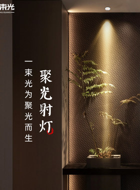 一束光聚光射灯/设计师推荐正品