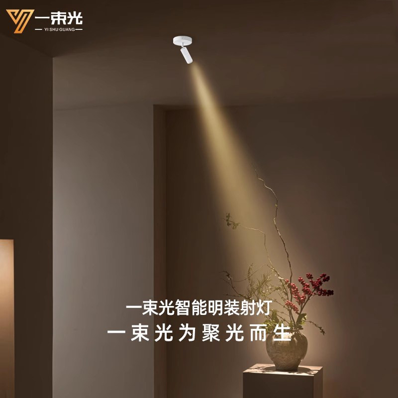一束光聚光射灯智能调光明装茶室摆件绿植字画小角度超窄光玄关灯