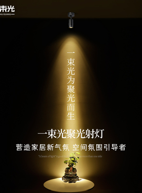 一束光聚光射灯4000K中性光明装小角度3度15艺术品氛围餐饮轨道灯