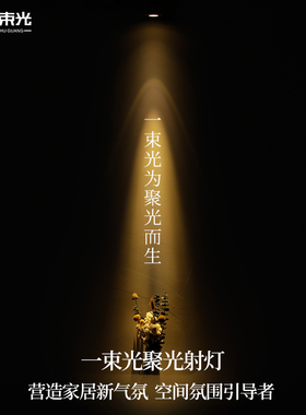 一束光聚光射灯嵌入式小角度3度15度客厅茶室玄关餐厅led洗墙筒灯