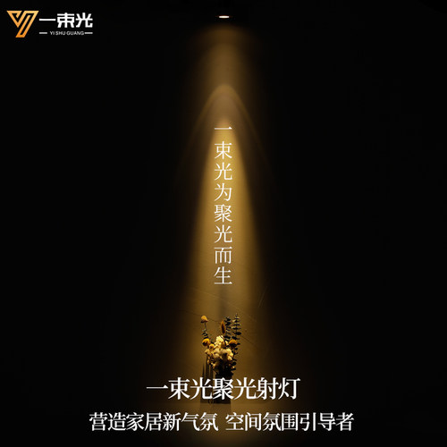 一束光聚光射灯/设计师推荐正品