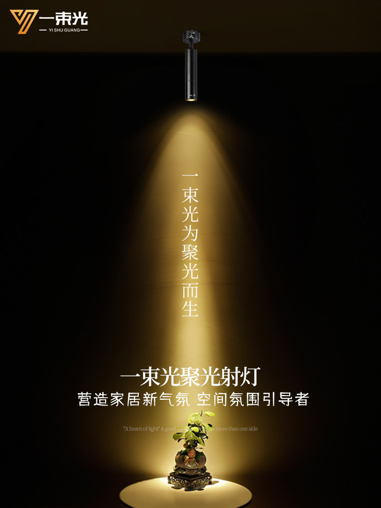 一束光聚光灯小角度表面吊顶客厅Ktv酒吧清晰酒吧餐桌西餐厅氛围