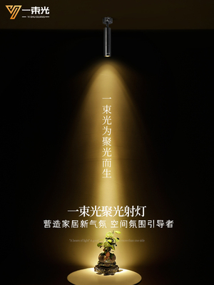 一束光聚光灯小角度表面吊顶客厅Ktv酒吧清晰酒吧餐桌西餐厅氛围