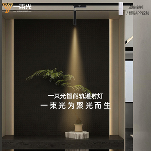 一束光聚光射灯小角度智能轨道茶台餐桌摆件博物馆字画玉石led灯