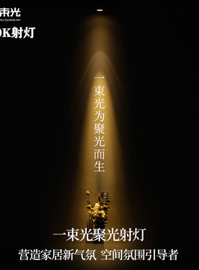 一束光聚光射灯小角度3度5度8度15度光束角3500K嵌入式茶室玄关灯
