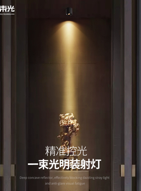 一束光聚光射灯小角度led明装5度过道走廊展柜酒柜店铺商用玄关灯
