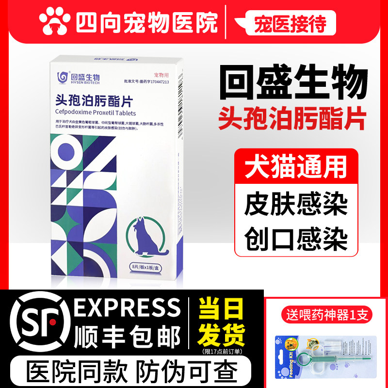 回盛生物头孢泊肟酯片感冒皮肤病泌尿感染猫咪狗狗消炎药羟氨苄片