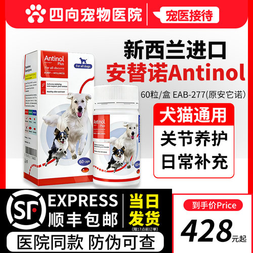 新西兰安替诺Antinol宠物软骨素