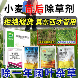 【小麦苗后除草剂】猪殃殃播娘蒿牛繁缕婆婆纳马齿苋阔叶草锄草剂