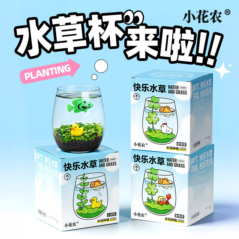 小花农快乐水草小清新种植杯水培小对叶爱情草卧室阳台办公桌摆件