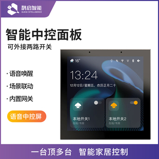启鹊背景音乐主机系统套装 无线涂鸦语音智能家居中控屏智能开关