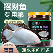 招财鱼专用粮鱼食 战船鱼发财鱼观赏上浮下沉型粮饲料
