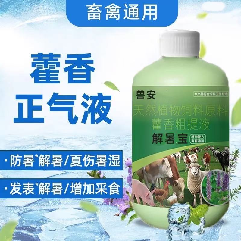 藿香正气液兽用通用冰爽降温解暑猪牛羊抗应激鸡鸭鹅防中暑解清热