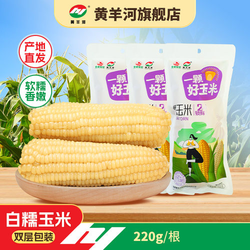 甘肃黄羊河糯玉米真空包装