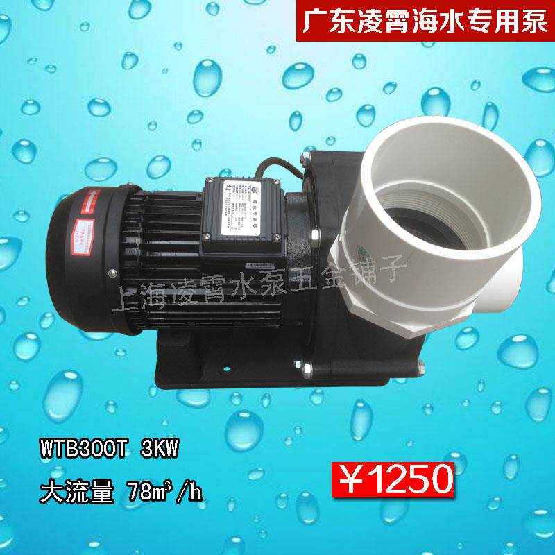 新款广东海水专用泵WTB300T大流量海水泵 塑料浴缸按摩鱼池循包邮