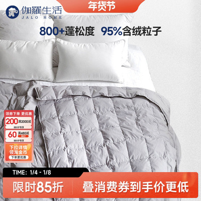 800+生活蓬松度鹅绒被冬季款