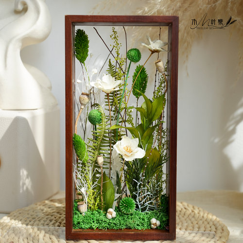 植物相框家居摆件创意礼品