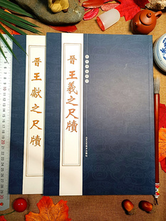 二王尺牍王羲之尺牍墨迹+王献之尺牍手札王羲之65件王献之21件丧乱帖姨母帖初月帖二谢帖平安帖何如帖快雪时晴帖中秋帖鸭头丸帖