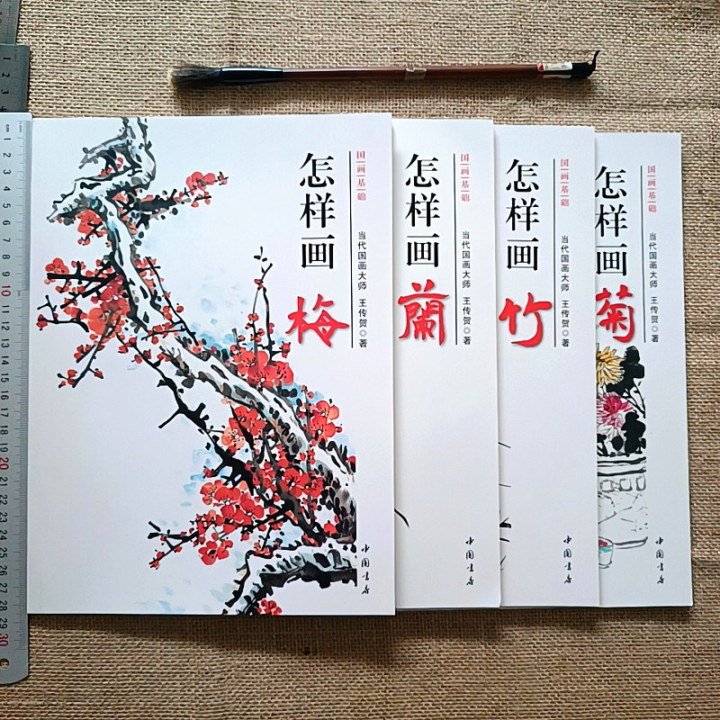 正版中国画技法书籍小写意花鸟画教程教材怎样画梅花梅兰竹菊梅花兰花墨竹子菊花