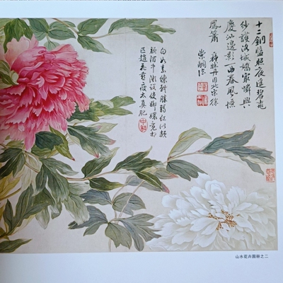 正版恽寿平没骨花卉册68页临摹