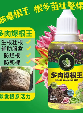 多肉爆根王快速生根液壮苗剂多肉植物专用养花水肥营养液