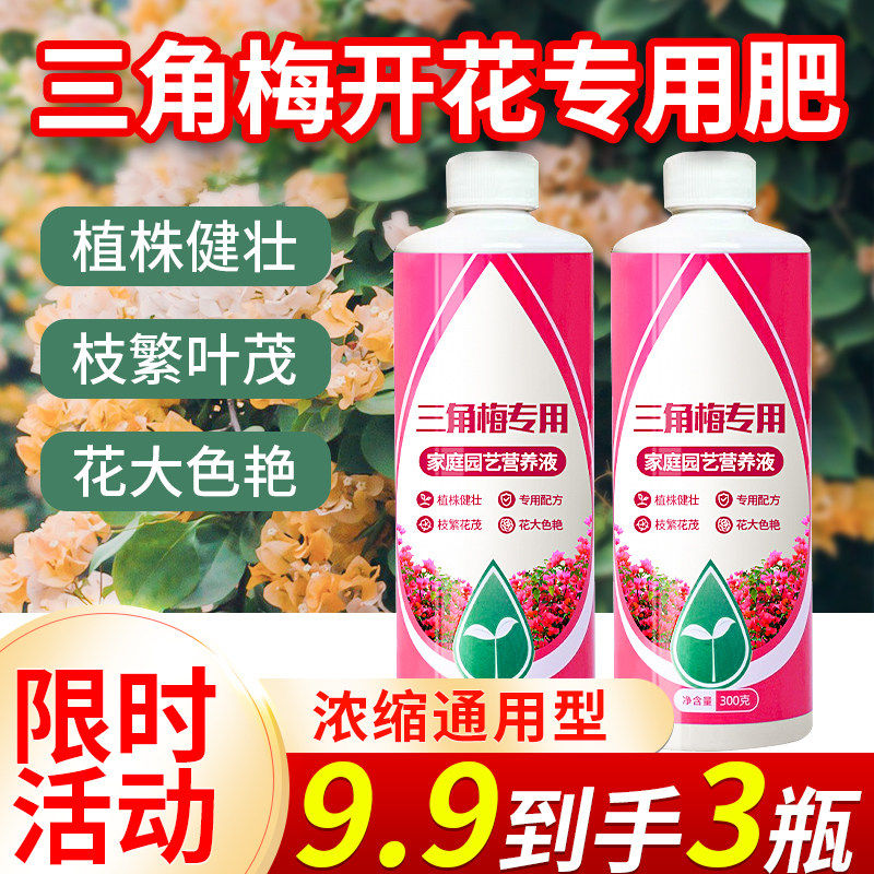三角梅开花专用肥植株健壮枝繁叶茂花大色艳营养液肥料