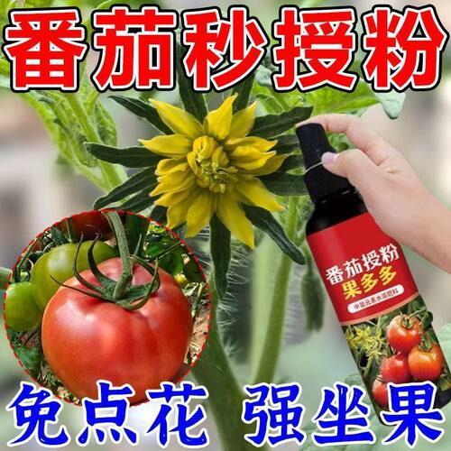 番茄催花座果灵番茄强效授粉免人工西红柿保花保果防落专用授粉剂
