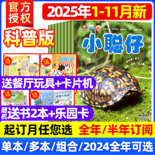 另有2024年 杂志 2023年 全年 8岁幼儿益智兴趣智力开发儿童科普2022过期刊杂志 2025年1 半年订阅2 11月新刊现货小聪仔科普版