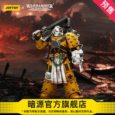 暗源关节可动手工涂装兵人