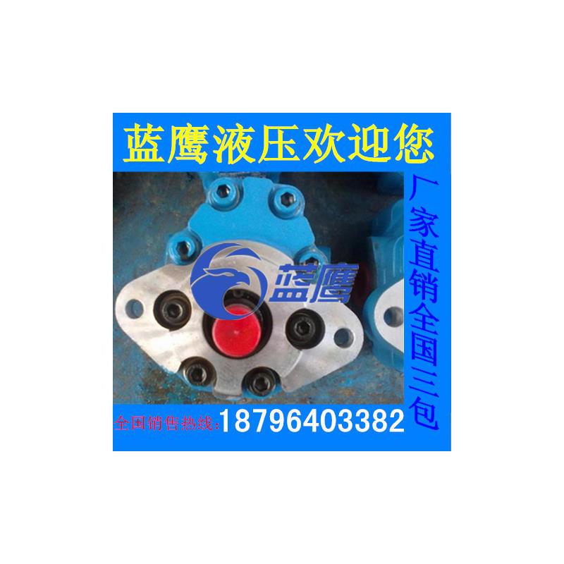 新款CBY3063/3080/3125/3100/3040/3050齿轮油泵-B1FR-B2FR-1包邮