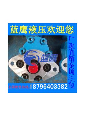 新款CBY3063/3080/3125/3100/3040/3050齿轮油泵-B1FR-B2FR-1包邮