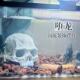 泥鳅躲避屋水族箱造景头骨树脂工艺品摆件鱼虾躲避洞穴鱼缸装 厂家