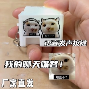 知豆不语音发声按键解压钥匙扣腊八蒜猫meme挂饰抖音同款网红玩具