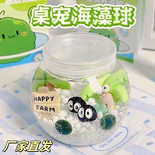 海藻球生态瓶宠物随身瓶造景炸毛小宠物微景水培植物海藻球生态缸