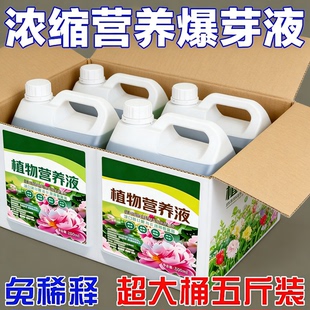 植物营养液通用型家用花肥通用化花卉盆栽绿萝叶绿植富贵竹营养液